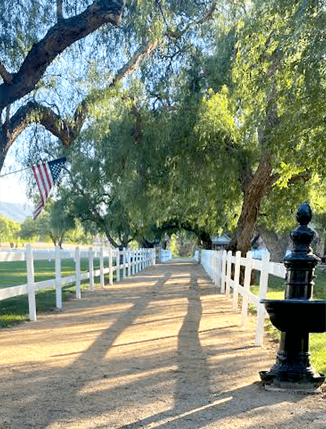 Serenity & Peace